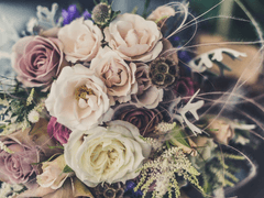 「Paradiso」Official Teaser spoiler ver. 번역