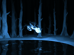 루시아 샤피크 프로필