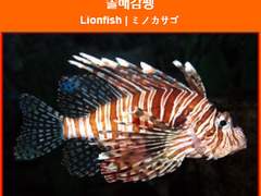 트위스테 드림썰 백업 022