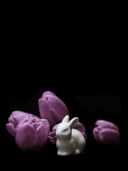 트리니아 아카데미.