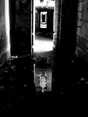 여름 다 지난 공포특집