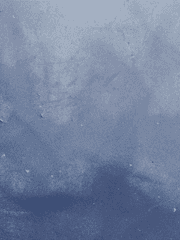 2010년 헤도네 캠프