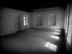 언젠가 찾아올 샤엘레 데 보스의 ○○에 대하여