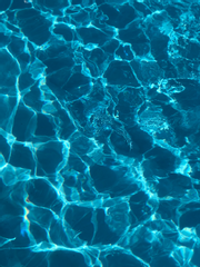 [BD] 너드와 양아치의 상관관계