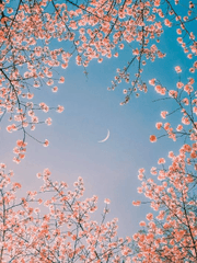 겨울에서 봄이 오기까지