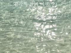 감각적 갈피 여행(중)