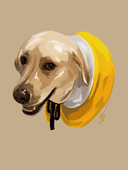 별찬초상화 컬러 반려동물편