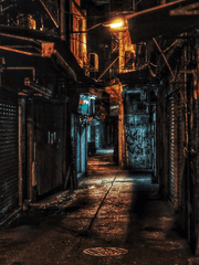 애정불구 愛情不具