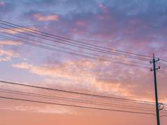 28고죠 18고죠 샌드