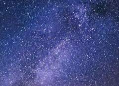 Radium/1234/고양이 인수/xx