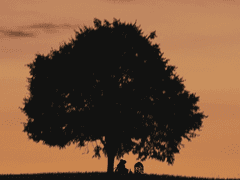 [당보청명] 그대는 날 붙잡고, 내 삶을 안았네.