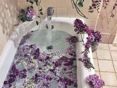 라일락 질 무렵에 Prolog.