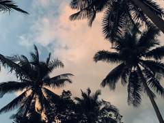 [햄채] 그의 여름