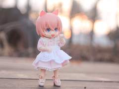 [200112] 시카 오비츠로이드 : 선유도