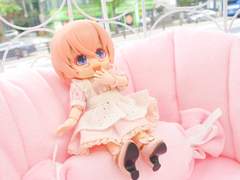 [210906] 시카 오비츠로이드 : 카페 티티야