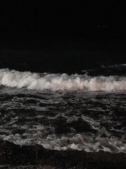 STUDY : 그림일기