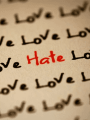 Business Love Performance