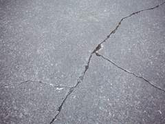 [하루하랑] 모면謀免