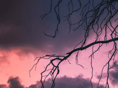 [당보청명] 完. 우리는, 정말 괜찮아.