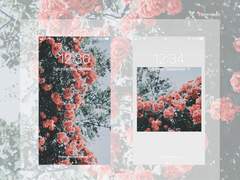 봄부터 여름까지