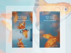 괴괴한 물고기_A