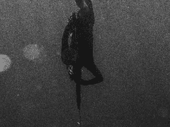 늑대굴을 찾습니다