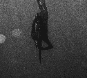 늑대굴을 찾습니다