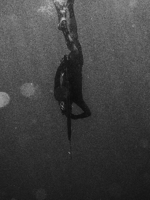 첫인상의 중요성