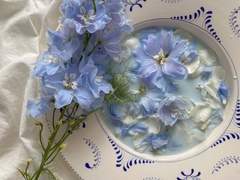 Vito (비토) / 15 / xy