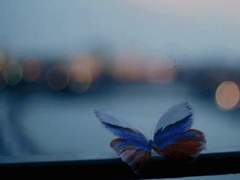 문 여령 / 13 / 인간