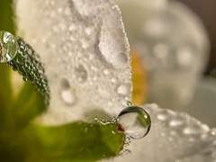 𝑠𝑙𝑖𝑝 𝑎𝑤𝑎𝑦