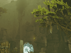 여태 찍은 사진들