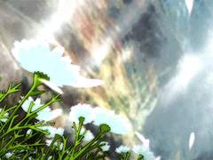 [엘아샤]네 곁을 지킨다