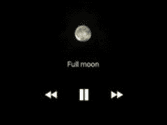 그들을 위한 우리