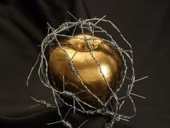 [독백]동화와 소설