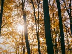 마지막, 마지막