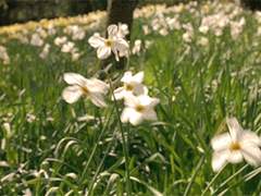 제멋대로이신 손님