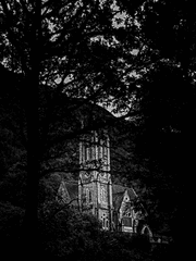 운명을 거슬러 전율하는 희망의 선율