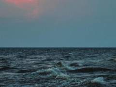 물 밖의 물고기