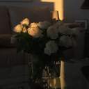 𝑷𝒂𝒔𝒔𝒊𝒗𝒆.