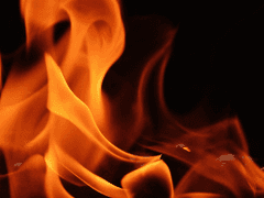 Collectio posteris patriae lapsae