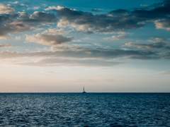 찢어진 돛에도 순풍은 부는가