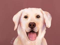 별찬초상화 컬러 [반려동물편]