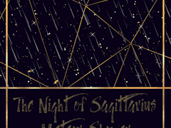 사수자리 유성우의 밤 (下)