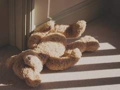 당신의 안정감의 정착지는 어디인가요