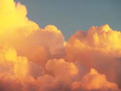 決守のきまは気まぐれのきま