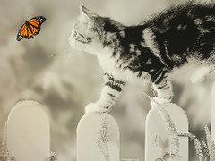 [하이큐 드림]집사는 왜 고양이에게 우유를 줬을까 -下- 전체연령