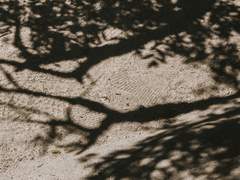 월하정인(月下情人) 20