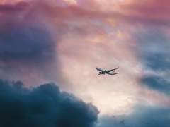 [옥케이] 난기류