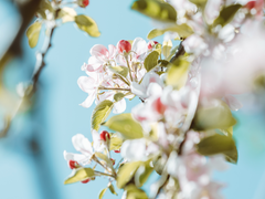 [화산귀환] 사형 손은 약손, 얼른얼른 나아라─.